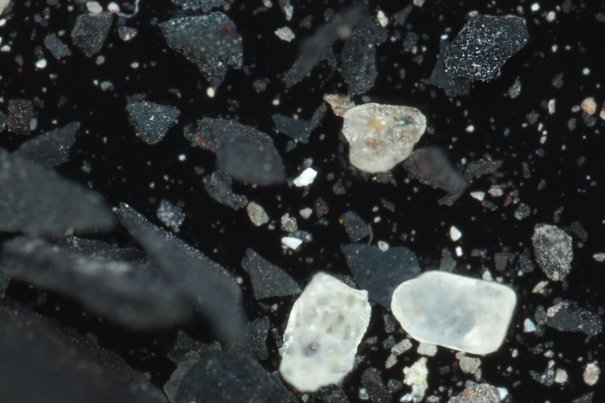 Image: Fractals, word dust, microscopic images of steel slag on carbon tape, dimensions variable.