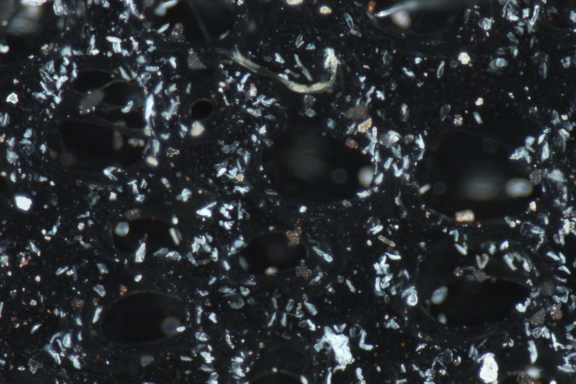 Image: Fractals, word dust, microscopic images of steel slag on carbon tape, dimensions variable.