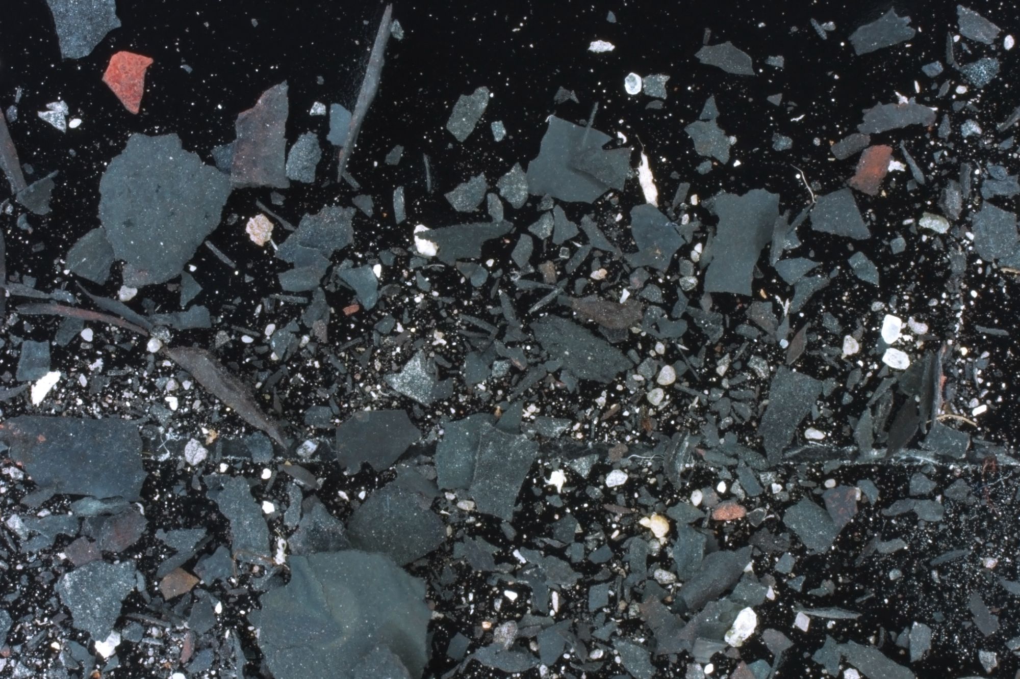Image: Fractals, word dust, microscopic images of steel slag on carbon tape, dimensions variable.